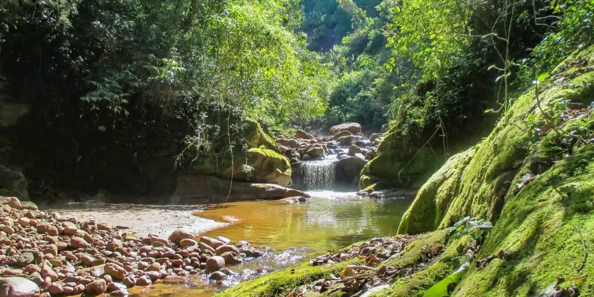 parque-nacional-calilegua